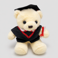 Ursinho com Roupa de Formatura 30 Cm - Macio