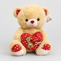 Urso de Pelúcia com Grande Coração 40 Cm Love
