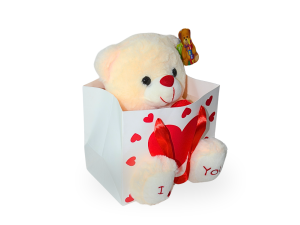 Ursinho de pelúcia fofinha perfeito para presente | dia dos namorados - fizzy