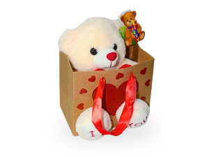 Ursinho de pelúcia para presente na caixinha |-Fg9042 Fizzy