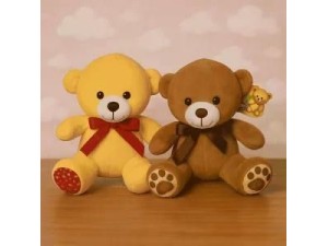 Urso de Pelúcia Macio 34cm – FE7427 FIZZY

