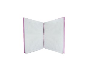 Caderno Capa Rosa Capivara 80 Folhas – HA72808 