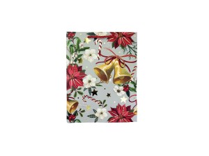 SACOLA P/PRESENTE 18X23X10CM -  DT2434   