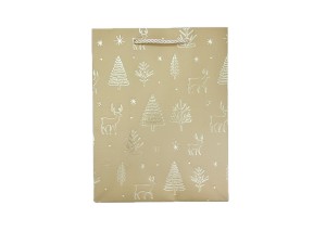 Sacola para Presente Pequena 18x23cm – CD2447