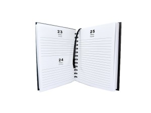 Agenda espiral 168 folhas sxfs-14392 