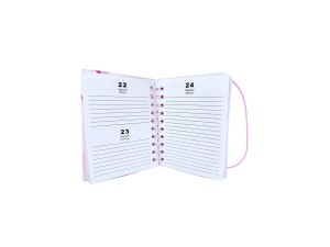 Agenda Espiral Rosa – SXFS-14386 