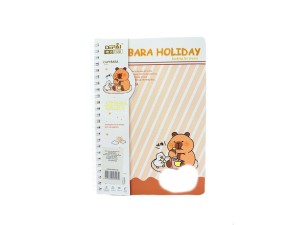 Caderno 70 folhas a5 mj2470-43 