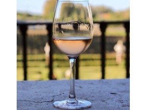 Conjunto Taça Tinto Gastro 450ml c/6 Peças – 4S032/450 