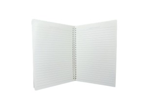  caderno espiral capivara 17x25cm apxx18001 