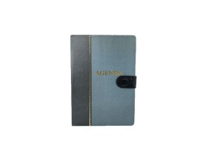 AGENDA  PERMANENTE SXFS-14467