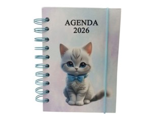Agenda espiral 168 folhas sxfs-14394 
