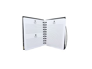 Agenda espiral 168 folhas sxfs-14397 